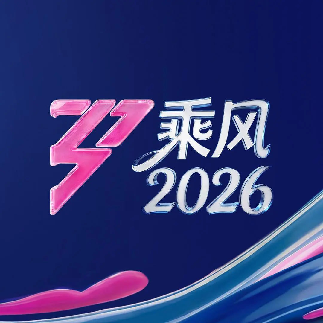 乘风2026——电视剧别样幸福全集